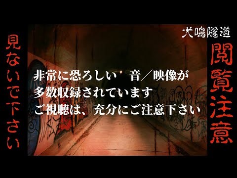 閲覧注意！！ 【心霊】最恐の犬鳴隧道 彷徨い、忍び寄る『ソレ』は確実にいる！！