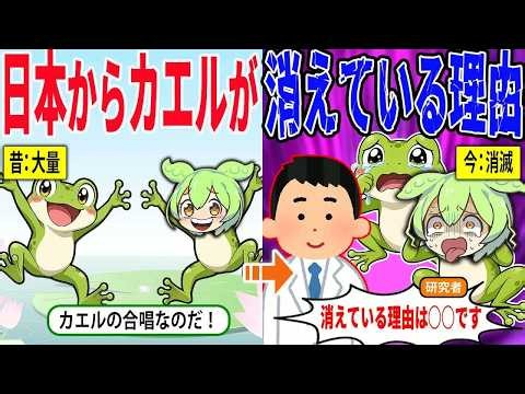 日本からカエルが消えている理由【ずんだもん＆ゆっくり解説】
