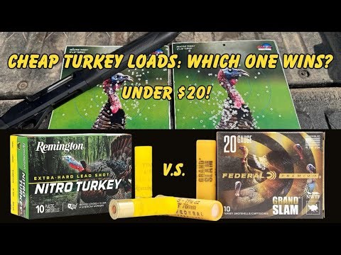 Turkey Shotgun Shell Comparison: Does Price Matter?