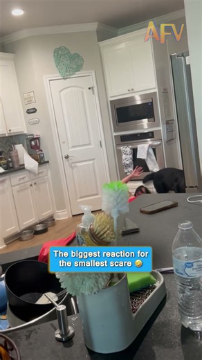 She Didn't See This Coming 😂 #funny #scareprank