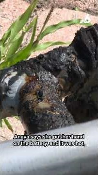 ‘Ball of fire': Video shows electric wheelchair exploding in Hollywood driveway