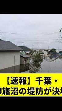 【みんなの反応】【速報】千葉・印旛沼の堤防が決壊し広範囲が浸水…台風25号で1968年の管理開始以来、過去最高水位を更新する深刻な被害。復旧の目途立たず予断を許さない状況に #shorts