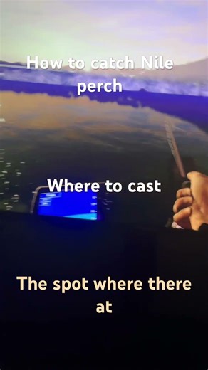 How to catch Nile perch