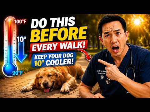 Do THIS Before Every Summer Walk & Keep Your Dog Up to 10° Cooler! | Vet Explains (Owners Miss This)