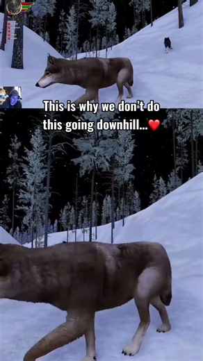 Has this happened to you?❤️ #wolfquestanniversaryedition #wolfquest #wolfquestsaga #wolfgame #fyp