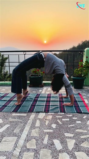Chakrasana | wheel pose #shorts #trending #viral #fitness #health #yoga #asana #chakrasan #wheelpose