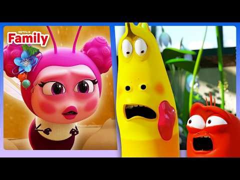 Honey Heist Gone Wrong! 🐝 Larva Family | Netflix Family