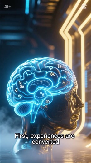 The Neuroscience of Memory! #youtubeshorts #didyouknow #facts #shorts