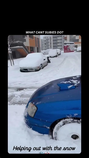 Subaru AWD is unmatched! Ft: @_blueblobby03
