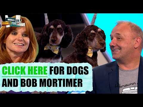 DOG Stories That Sound Completely Made Up 🐶😭 | Would I Lie To You?
