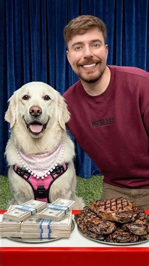 Would Your Dog Pick $10,000 or Steak?