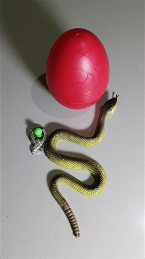 yellow snake and red egg#creepypasta #egg #scary #eggs #horror
