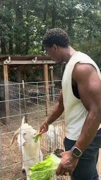 The new baby goat needs a name