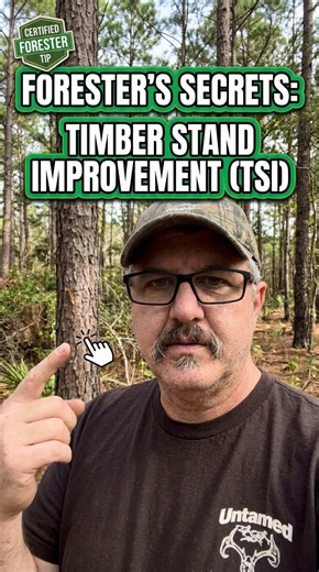 Timber Stand Improvement (TSI) #UntamedOutdoors #PublicLandHunter #Woodsmanship #ForesterLife #Habitat⁠