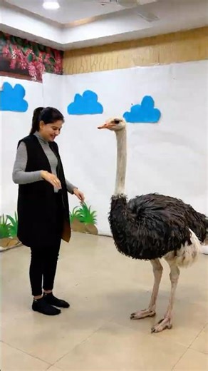 Ye kaha se aaya 🥺 #shortsvideo #trendingsong