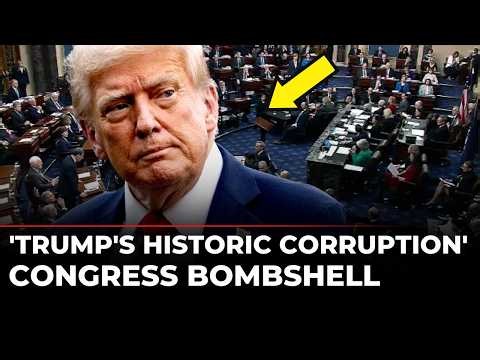 'A Vindictive President' Adam Schiff Blasts Trump Over Corruption & Fraud | Democrats