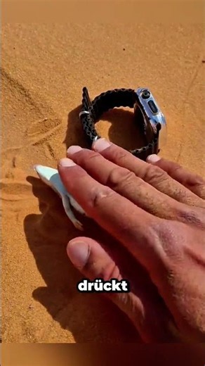 Er rettete einen sterbenden Sandfisch in der Wüste!