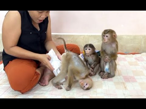 Sister Kobie & Sovanny Sit Very Patiently Waiting Mom To Diapering For Them After Sister Jula.