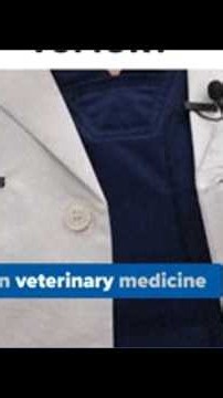 Purdue announces trials for new treatments of canine cancer
