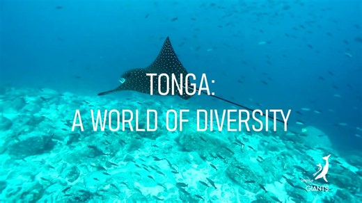 Tonga: A World of Diversity