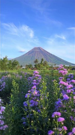 The blue fire volcano is real and it's on Java 🌋💙