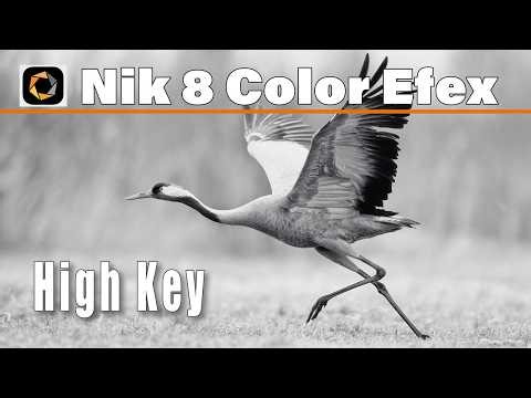 High Key Filter in Nik 8 Color Efex | Bright, Airy Look Without Blown Highlights
