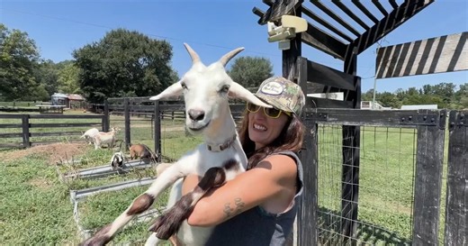 Georgia mom trades fast-pace of city living for farm living