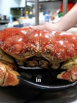 👽Giant “Alien” Crab Turned Into 4 Special Dishes #crab #alien #giant #specialfood #restaurant