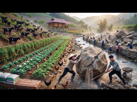 After the Worst Flood Ever – We Built a Massive Stone Wall to Protect Our Food!