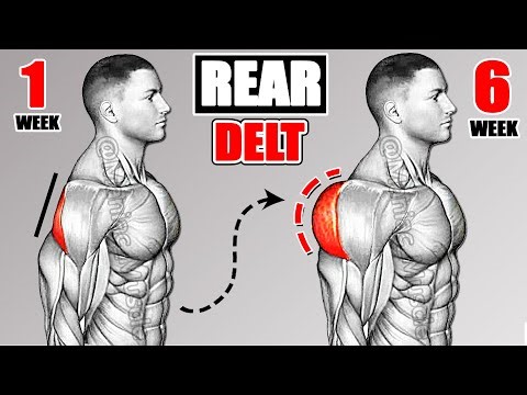 9 BEST REAR DELT WORKOUT YOU CAN DO AT GYM