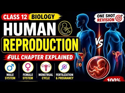 Human Reproductive System 🔬 | Male & Female Explained