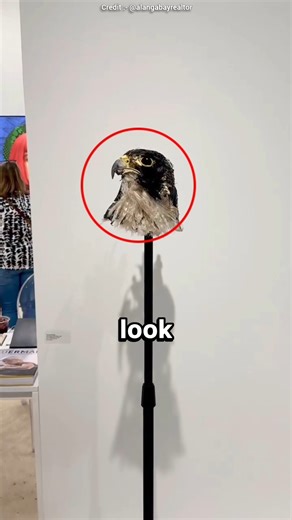 It Really! Looks Like Eagle Head😱❤️ #shorts