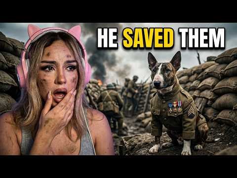 America’s War Dogs Made Me Cry