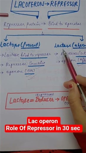 Lac Operon: Repressor kya karta hai? 😯| Biology Shorts