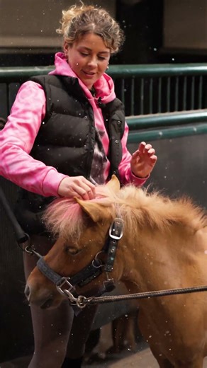 TEDDY & TIES OMTOVEREN TOT UNICORN! 🦄 #pptv #unicorn #shorts