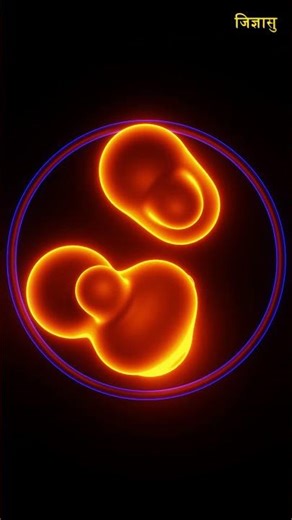 Day5-विलुप्त बाघ से मिला RNA! क्या विज्ञान उसे फिर जिंदा करेगा? 🐅🧬🔹 #facts