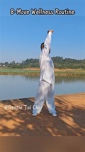 18-Minute Gentle Tai Chi for Beginners & Seniors | 8-Move Wellness Routine