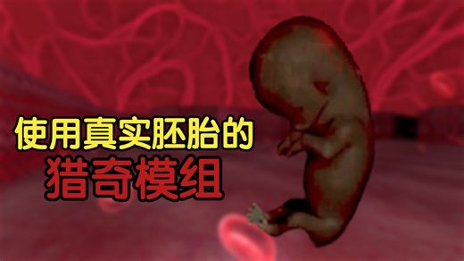 一款用真实图片，以堕胎为主题的诡异Doom模组