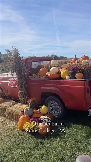Harner Farm State College: The Cutest Fall Day Spot 🍂