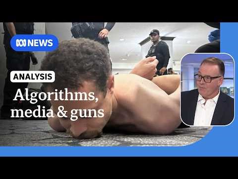 US a divided nation 'awash with guns': John Barron on Hilton shooting | ABC NEWS