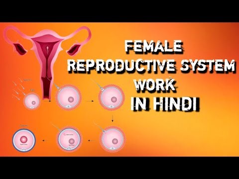 ##Female Reproductive System ## || Complete Biology Explanation ## ||