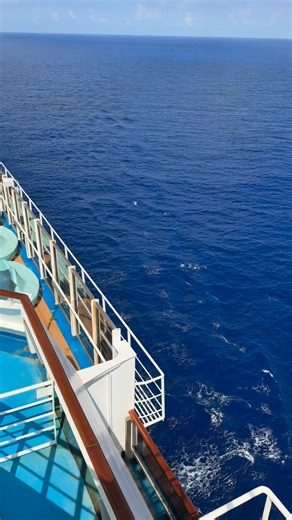 Carnival fans! On a sea day with Carnival Cruise Line, what’s your favorite way to spend it? 🛏️ Sleep in 🍔 Eat all day 🏊‍♀️ Pool time 🍹 Drinks & music 🌅 Sunset watching 👇 Comment your pick (or add your own)! #CarnivalCruise #SeaDayVibes #CruiseLife #CarnivalFans 🚢 | Carnival Cruise Line Miami Blog