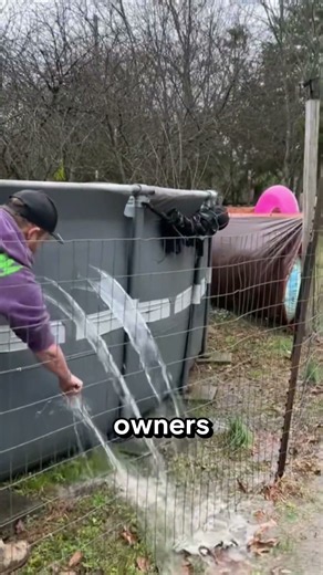 They Flood Their Yard on Purpose!