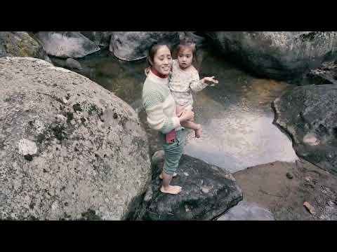 The Algorithm Nature Uses to Organize Everything