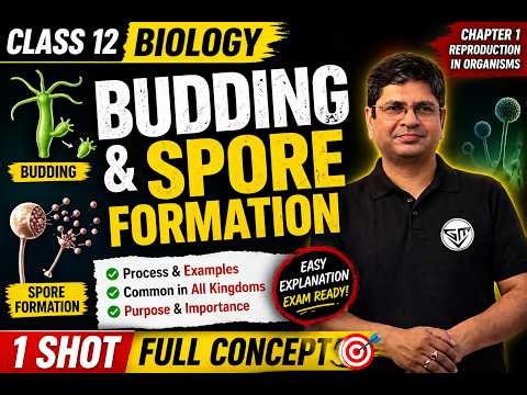 Budding & Spore Formation | Class 12 Biology Reproduction in Organisms | Easy Explanation 🔥