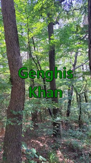 ○ Genghis Khan - Dschinghis Khan ○ #7080 #pop #Old Song #Music #추억의팝송