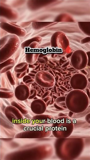 The Most Important Protein in Your Body? (Hemoglobin) 🧬 #science #biotech #biology