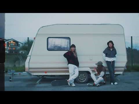 Orcas: The Largest Dolphin in the Ocean - Complete Guide