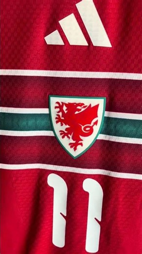 the new Wales home football jersey is already a classic ❤️🏴󠁧󠁢󠁷󠁬󠁳󠁿 #adidas #football #footballjersey