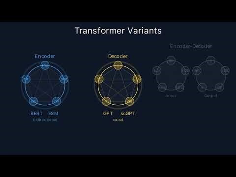 Transformers Part 2: Positional Encoding, Layer Norm, Encoder vs Decoder & Biology Applications